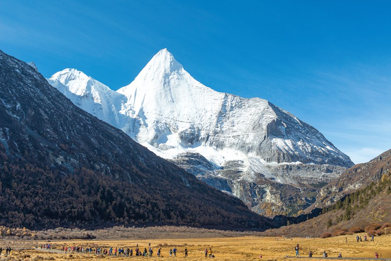 hk_c_1572328475201079813.jpg hk_c_E204623.jpg