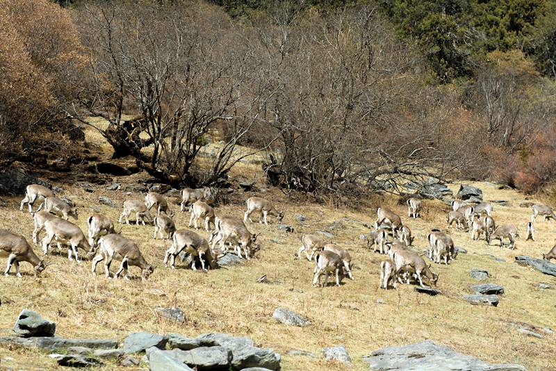 hk_c_1572330129894092860.jpg hk_c_E204237.jpg