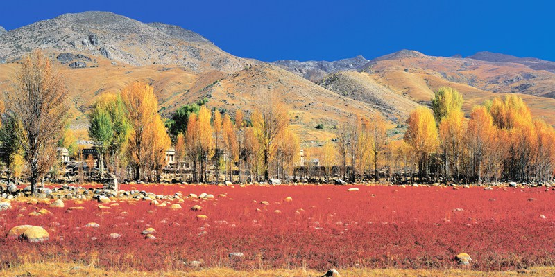 hk_c_1572330353560052486.jpg hk_c_#P003184.jpg