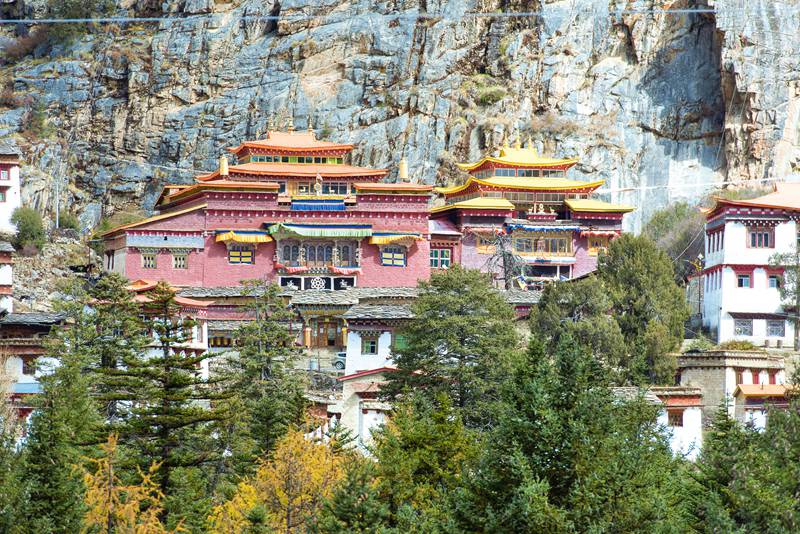 hk_c_1572330498412043321.jpg hk_c_E204265.jpg