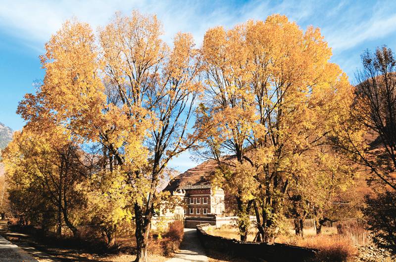 hk_c_1572331038571047819.jpg hk_c_#P067861_新都橋.jpg