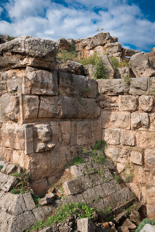 hk_c_1581406331542026956.jpg hk_c_16.jpg