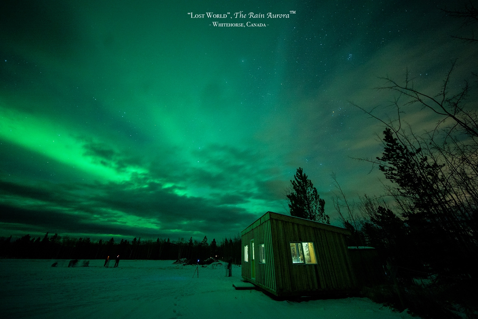 hk_c_WeChat 圖片_20200211153052.jpg