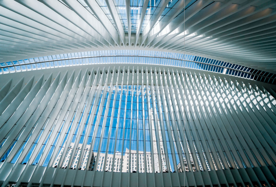 hk_c_羽翼 姜建.png