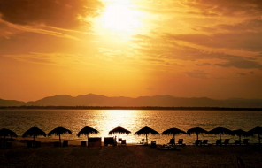 hk_c_攝影 —— 陳一年.png