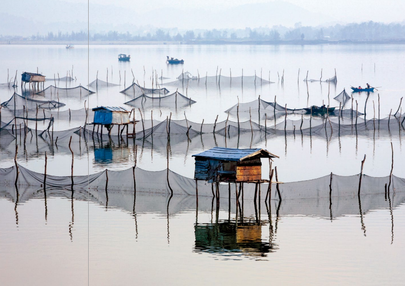 hk_c_攝影 —— 楊威勝.png