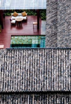 hk_c_攝影 —— 姜建.png