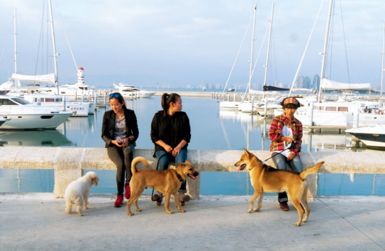 hk_c_攝影 —— 王苗.png