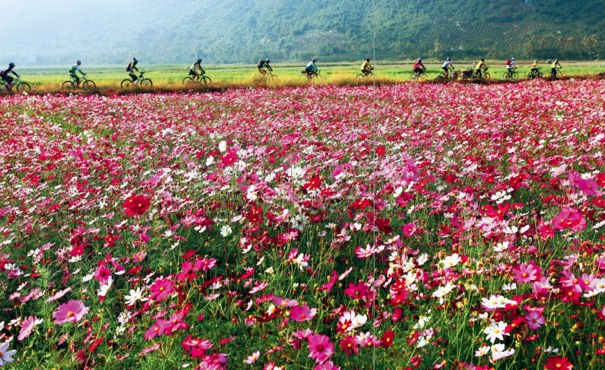 hk_c_攝影 —— 韓銘新6.png