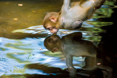 hk_c_攝影 —— 郭建設1.png