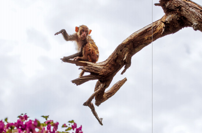 hk_c_攝影 —— 於志新3.png