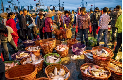 hk_c_攝影 —— 黃志強.png