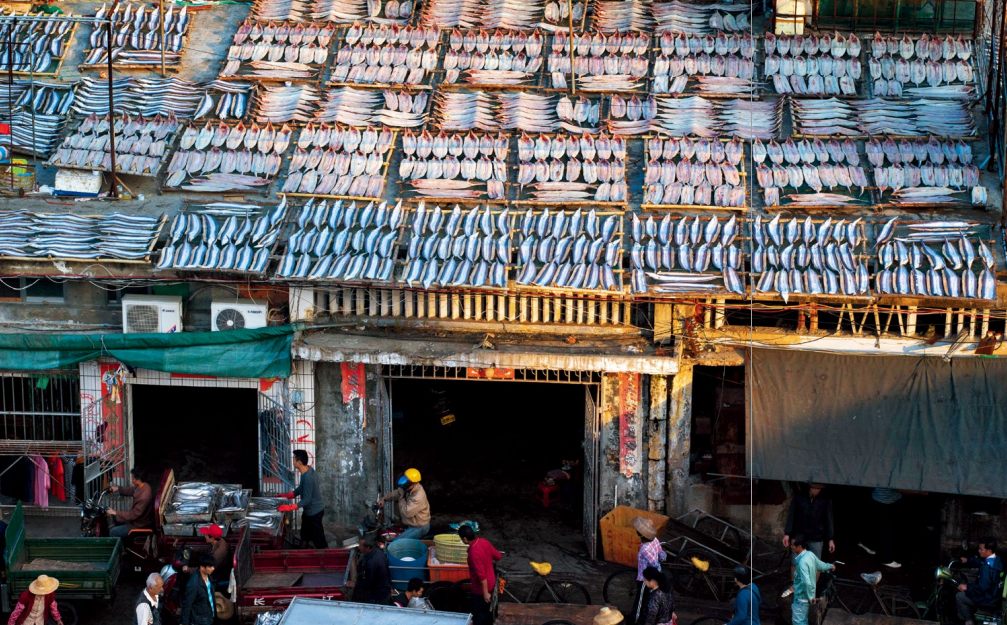 hk_c_攝影 —— 侯賀良7.png