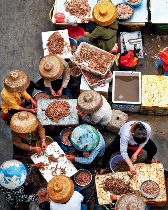 hk_c_攝影 —— 胡航生2.png