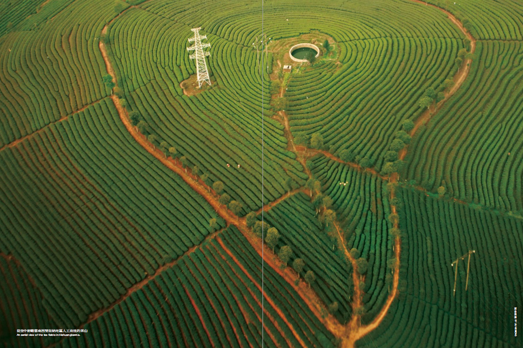 hk_c_從空中俯瞰雲南西雙版納地區人工栽植的茶山，劉偉雄攝.png