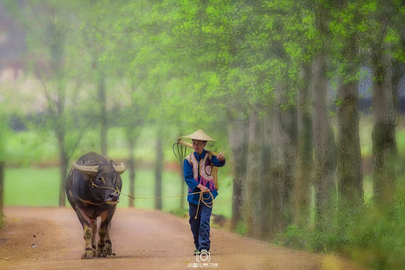 hk_c_春耕 小魚兒.jpg
