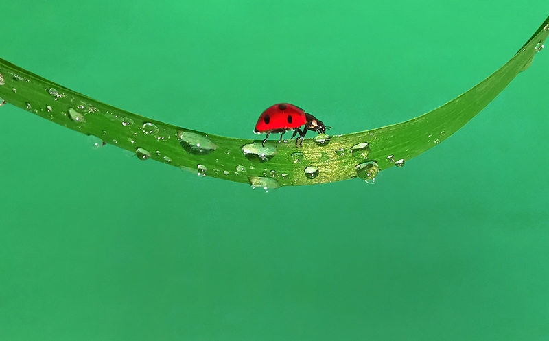 hk_c_過水晶橋 浙江新昌 陳榮.jpg