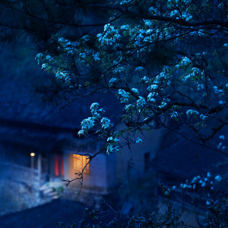 hk_c_梨花村夜色 浙江龍泉車盤坑村 陳晚珠.jpg