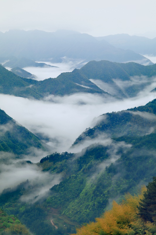 hk_c_南尖岩上雲霧起 浙江麗水 胡建國.jpg