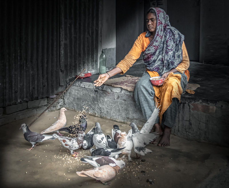 hk_c_喂鴿子的女人-孟加拉國達卡-笑天.jpg