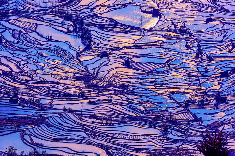 hk_c_雲南元陽 李長青.jpg