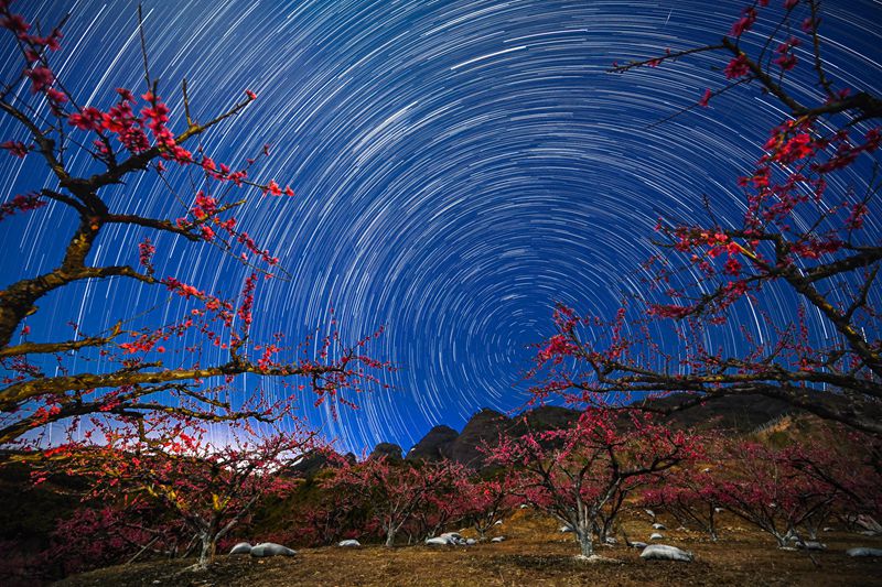 hk_c_桃花園裡望星空 廣東連平上平 徐偉明.jpg