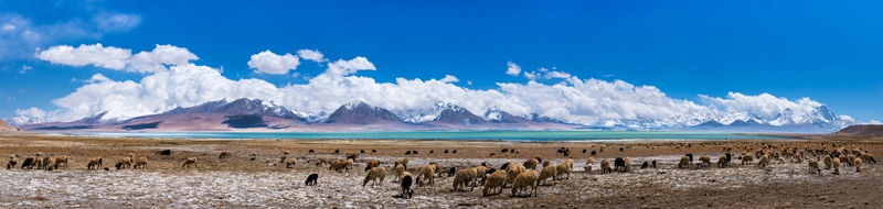 hk_c_《大美西藏多欽措》西藏日喀則地區康馬縣的多欽措雖然名氣不是很大，卻自成一體，這是雪山、白雲、碧水和羊群的最佳組合場景，美得令人眩目。本人於2021年4月11日拍攝於西藏日喀則地區康馬縣。錢萍.jpg