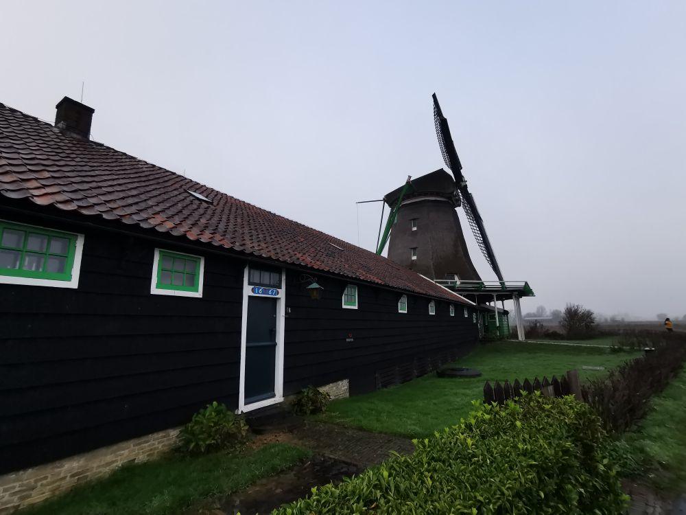 走進繁花：荷蘭(2)－風車的王國
