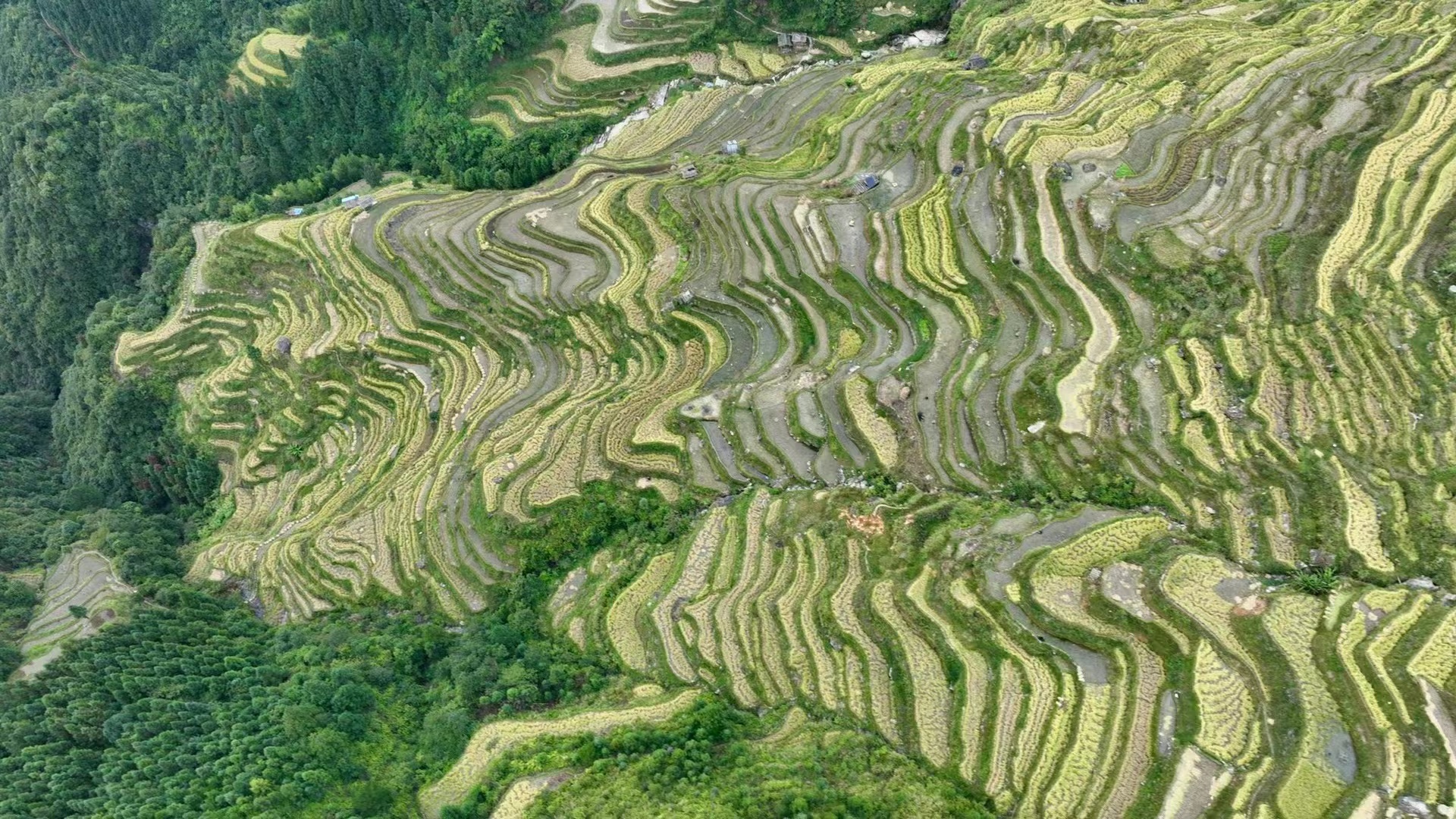 hk_c_1666598022785015270.jpg hk_c_13.jpg