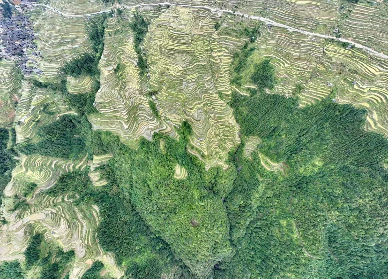 hk_c_1666598107053021006.jpg hk_c_7.jpg