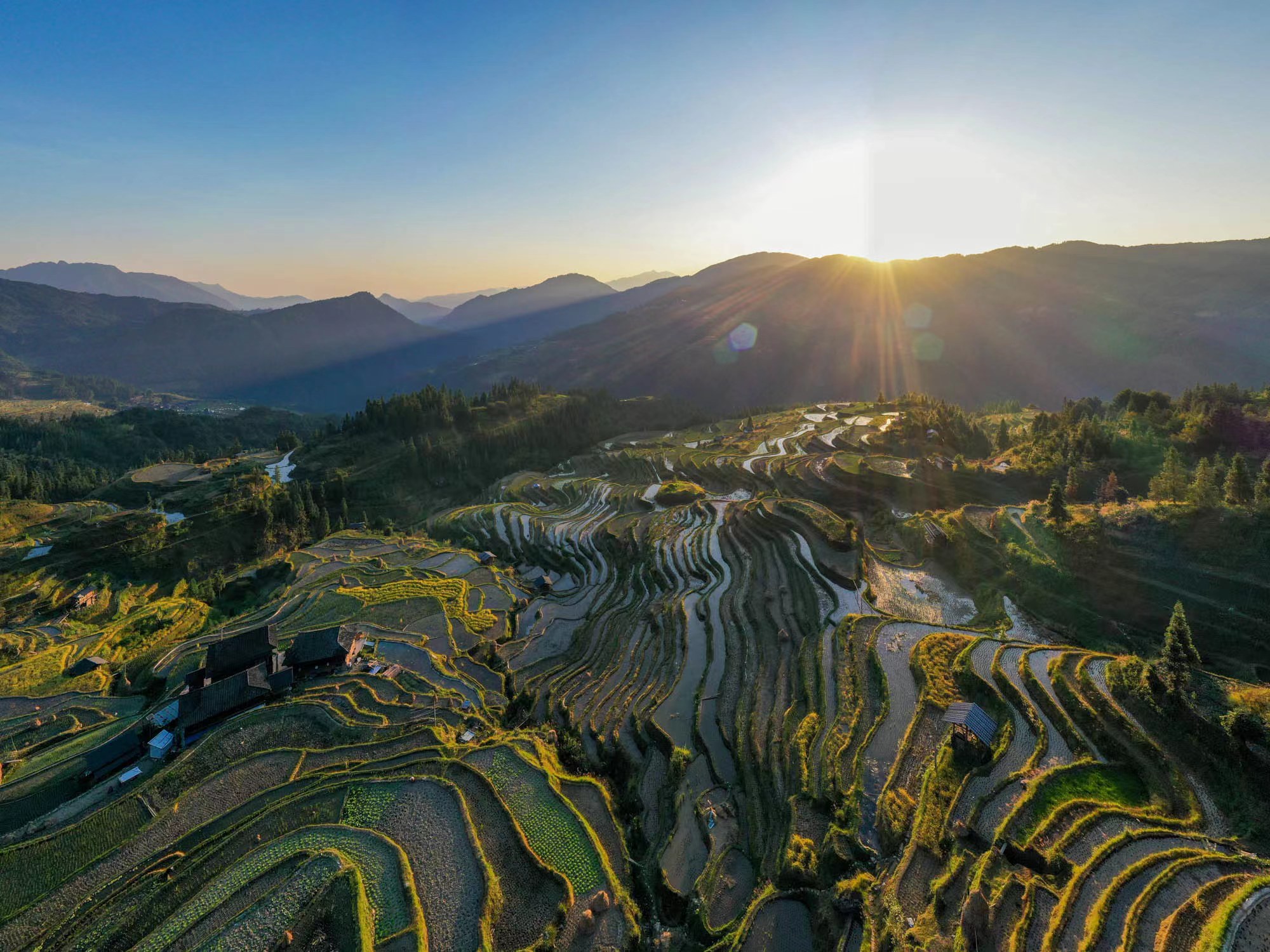 hk_c_1666599128990006329.jpg hk_c_4.jpg