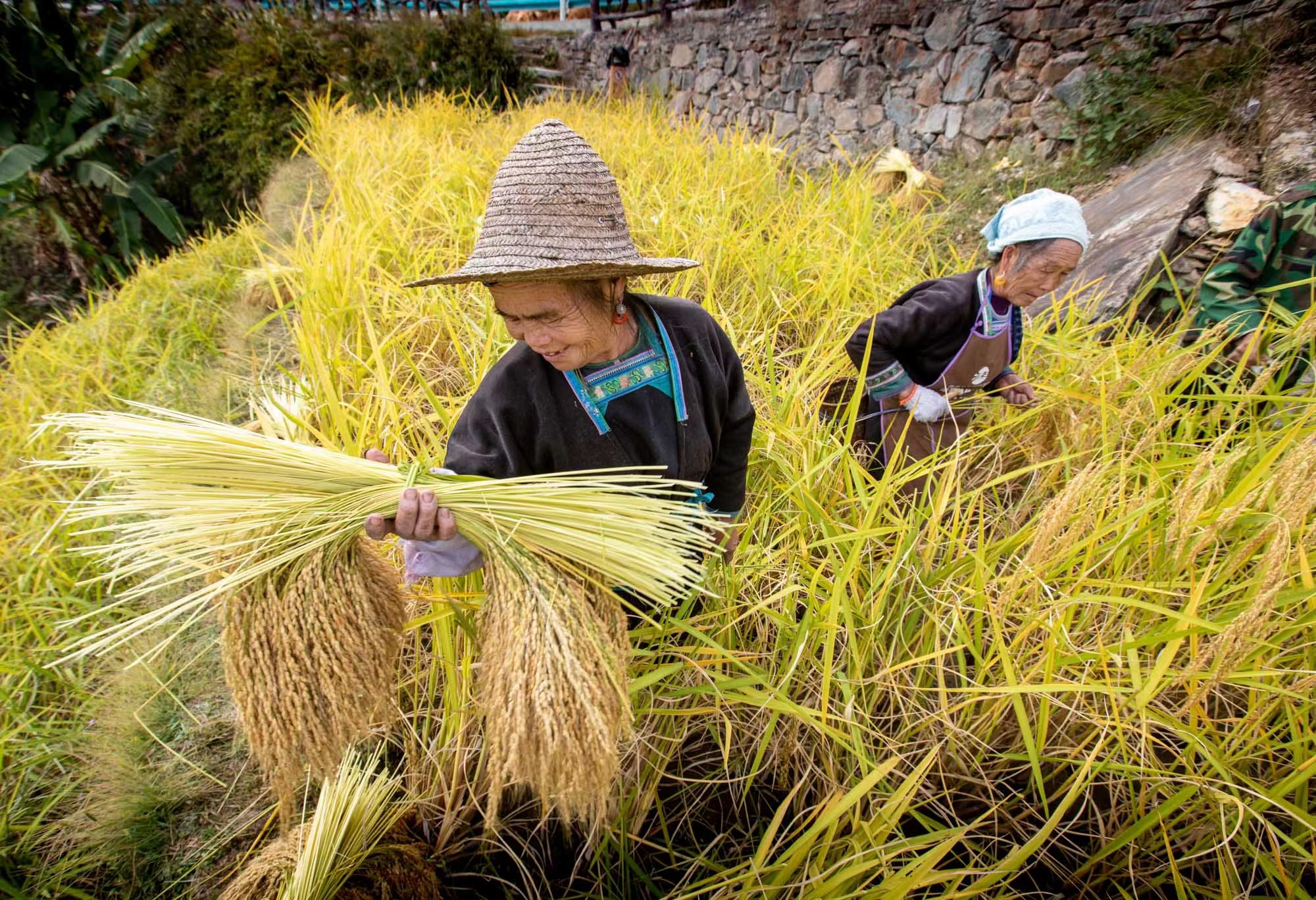 hk_c_1666599139436033967.jpg hk_c_3.jpg