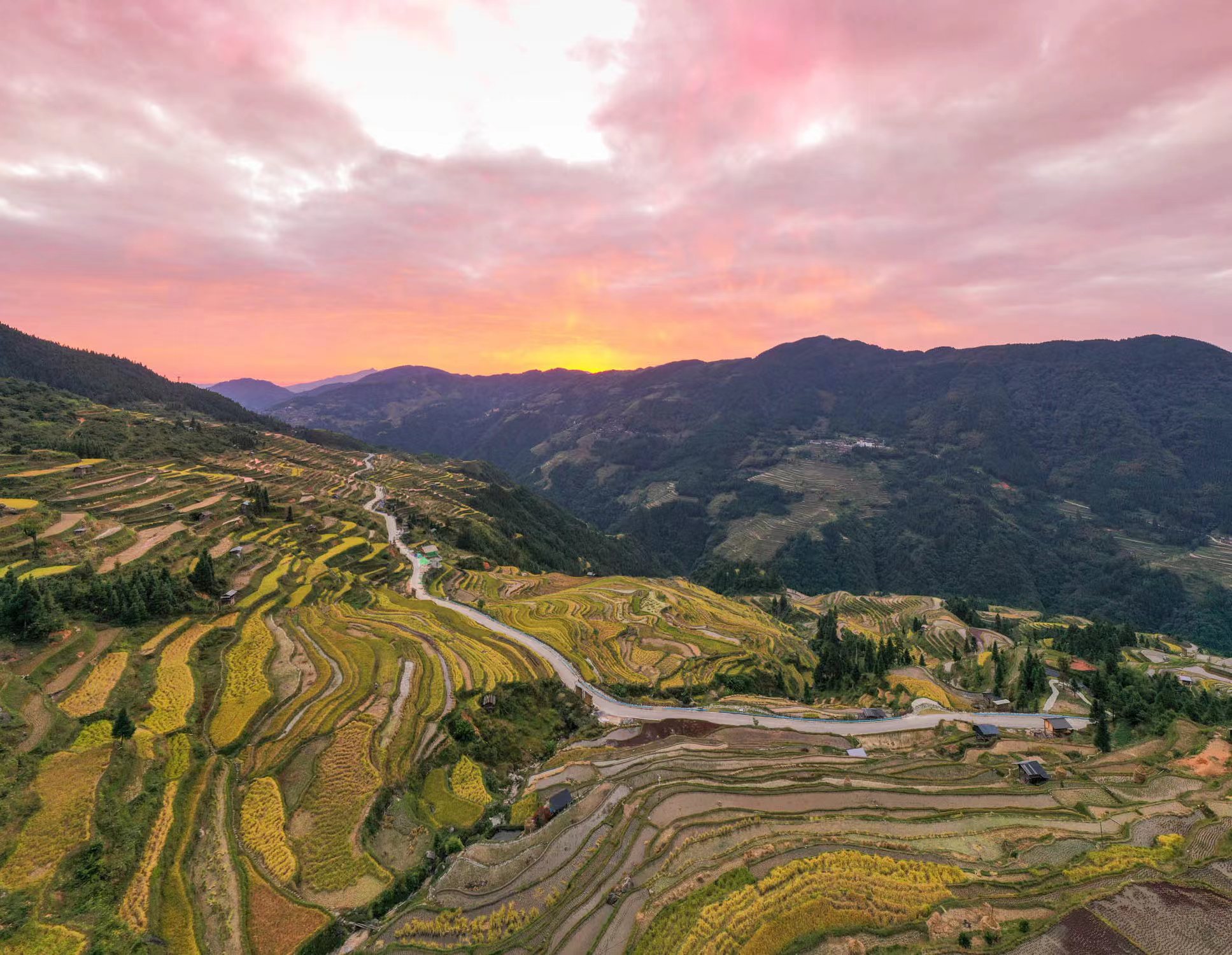 hk_c_1666599147593093317.jpg hk_c_1.jpg