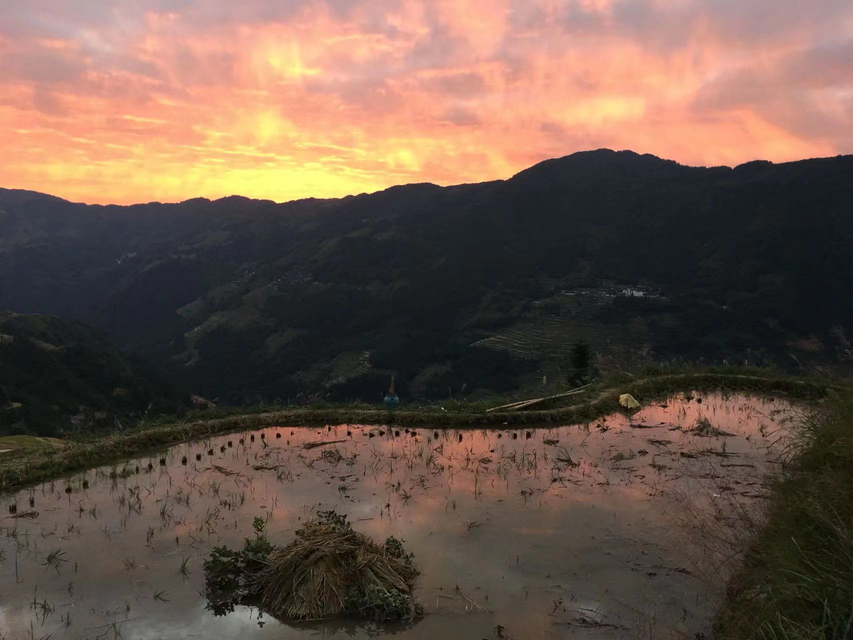 hk_c_1666599186346007954.jpg hk_c_1.jpg