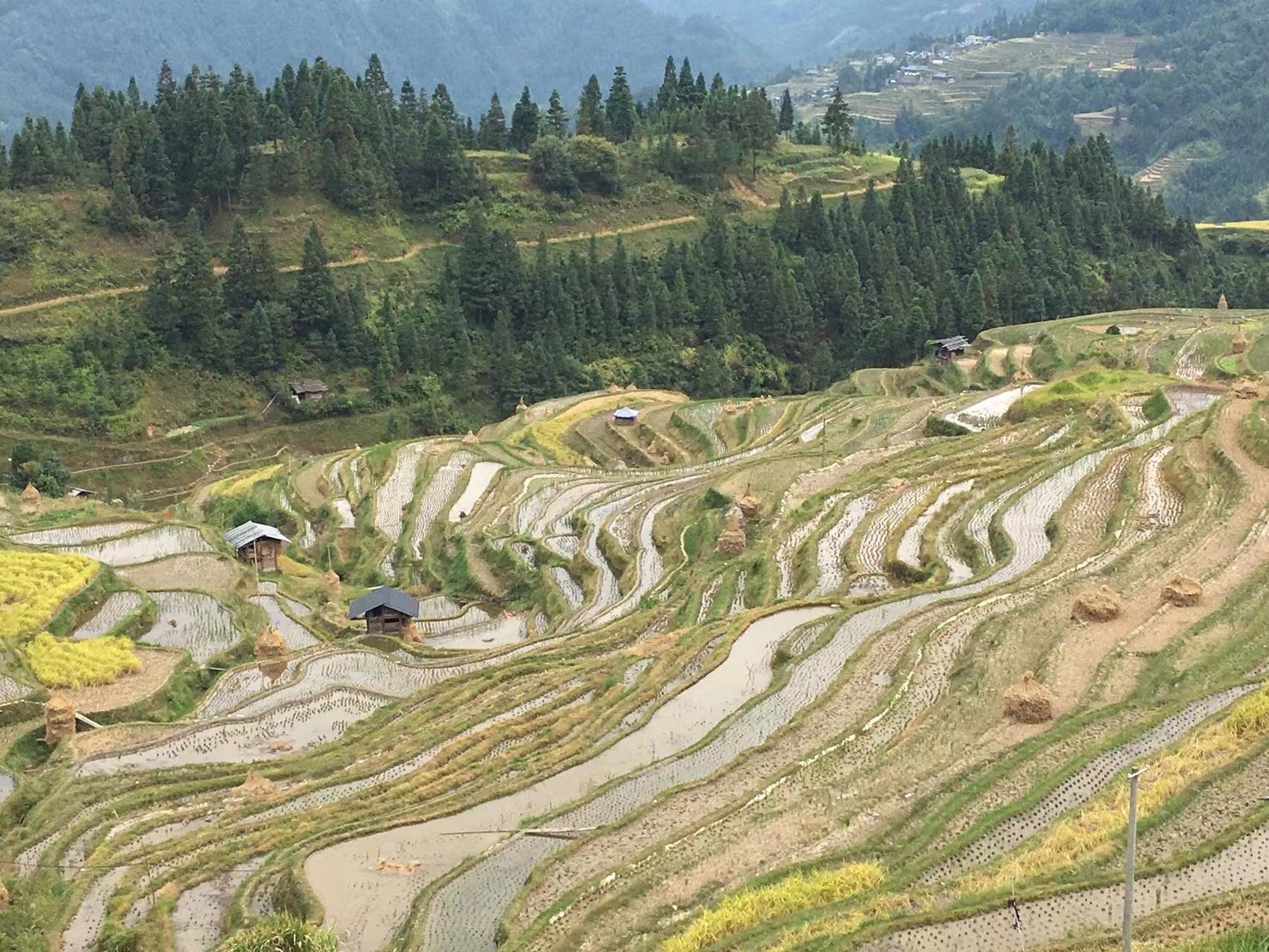 hk_c_1666599198957050711.jpg hk_c_6.jpg