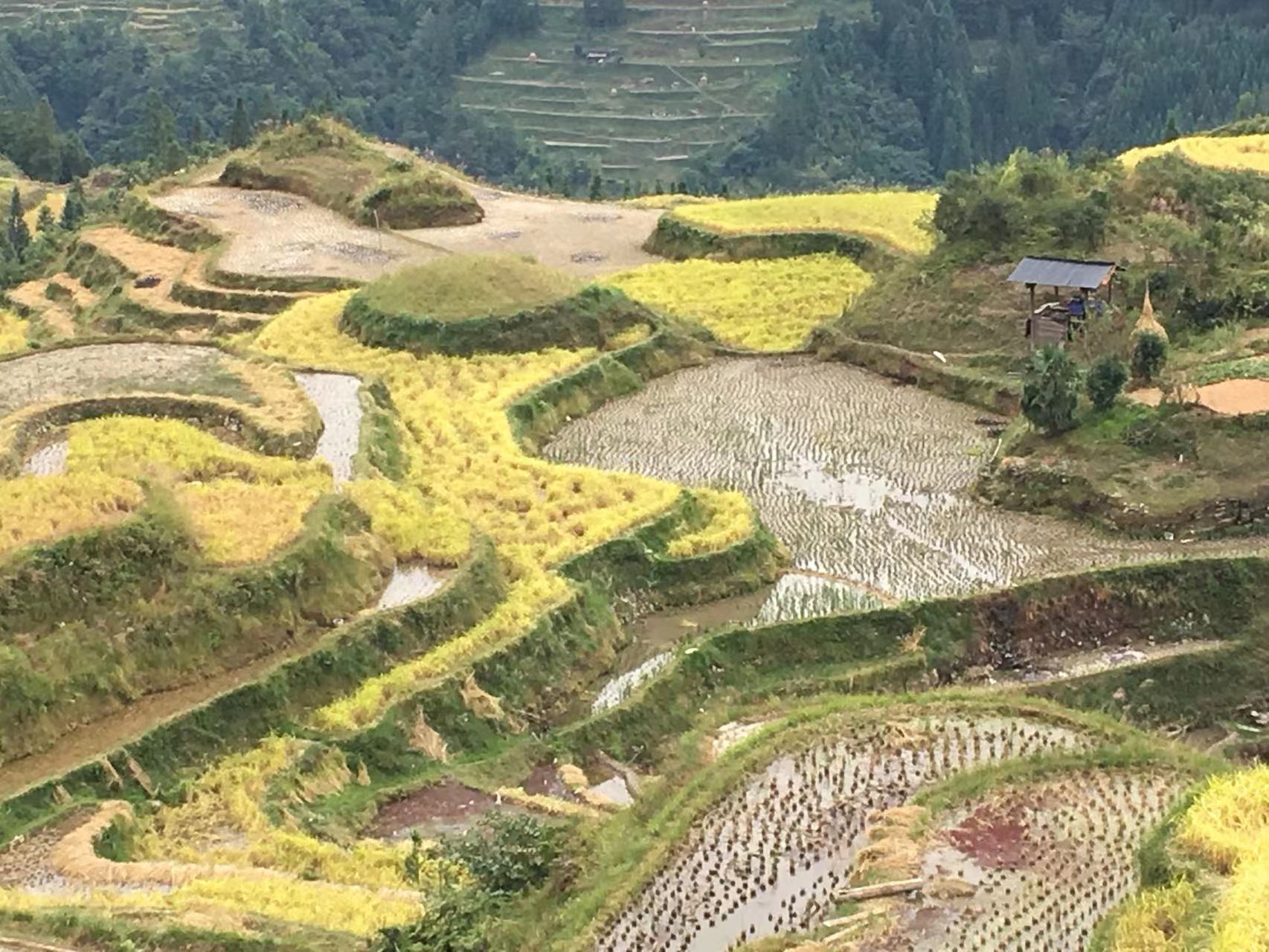 hk_c_1666599208829011291.jpg hk_c_5.jpg