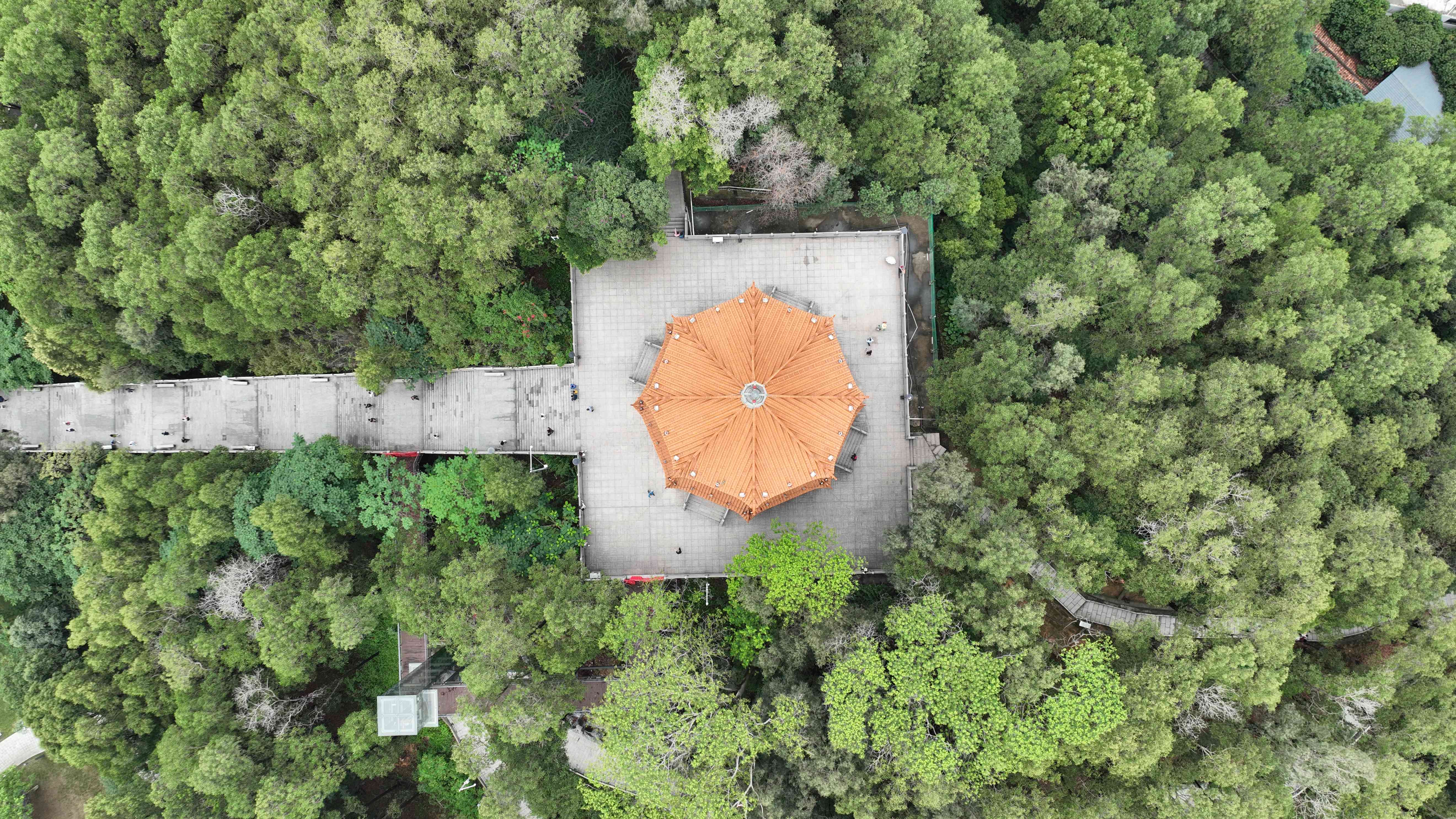 hk_c_#DJI_0203明和塔.jpg
